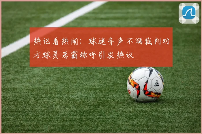 热记看热闹：球迷齐声不满裁判对方球员恶霸称呼引发热议